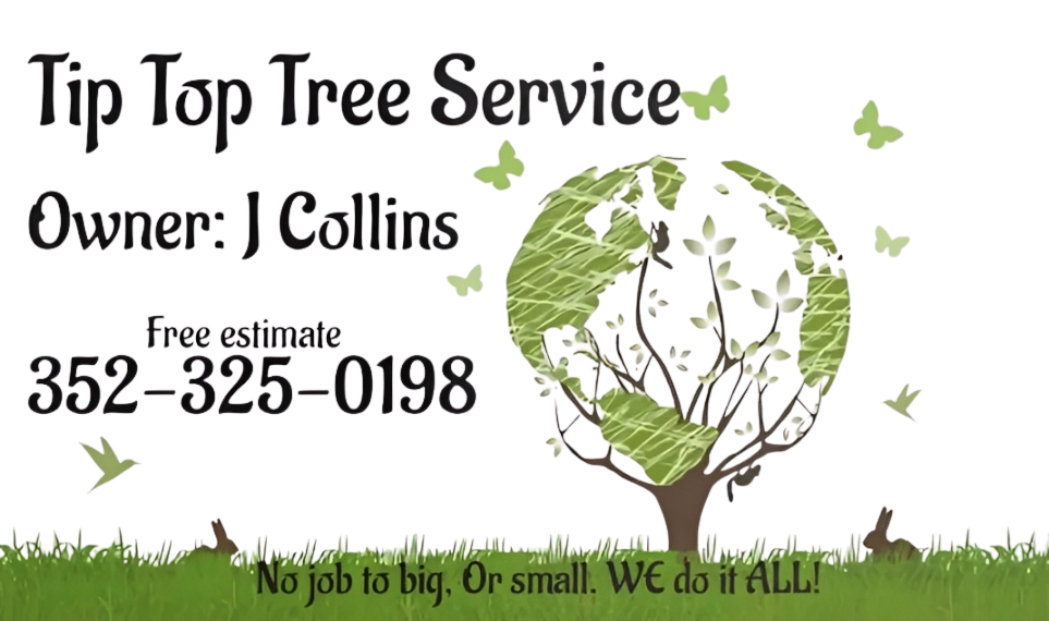Tip Top Tree Service logo
